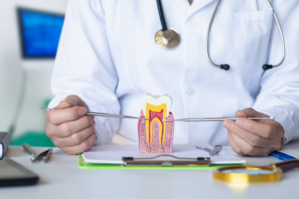 Best After-Hours Dental Trauma Care in Montague, MI